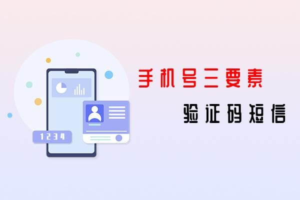 手机号三要素搭配验证码短信的影响