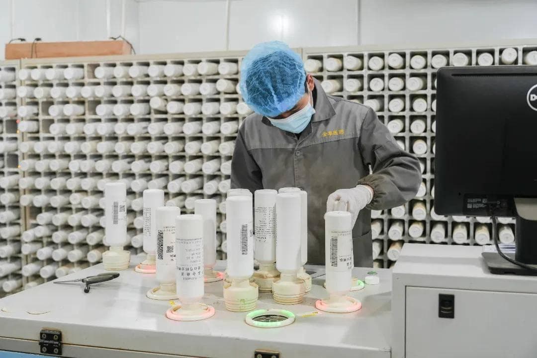 中药剂型｜颗粒剂与中药饮片有何区别？
