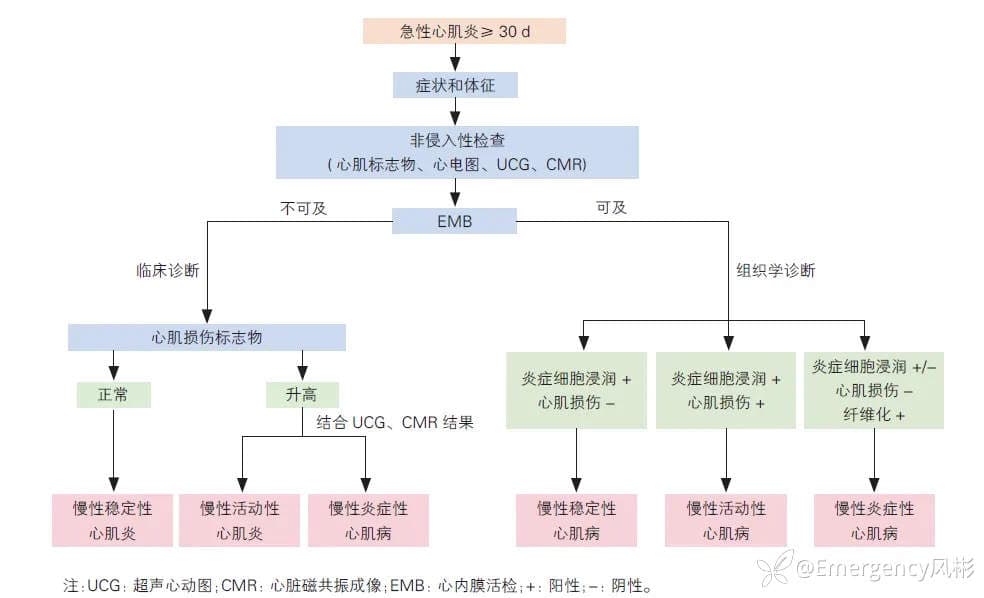 权威发布！中国成人心肌炎临床诊断与治疗指南出炉
