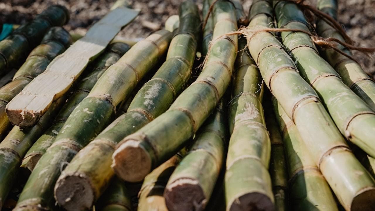血糖高的人可以吃甘甘蔗吗?哪些人要谨慎食用，您在其中吗？
