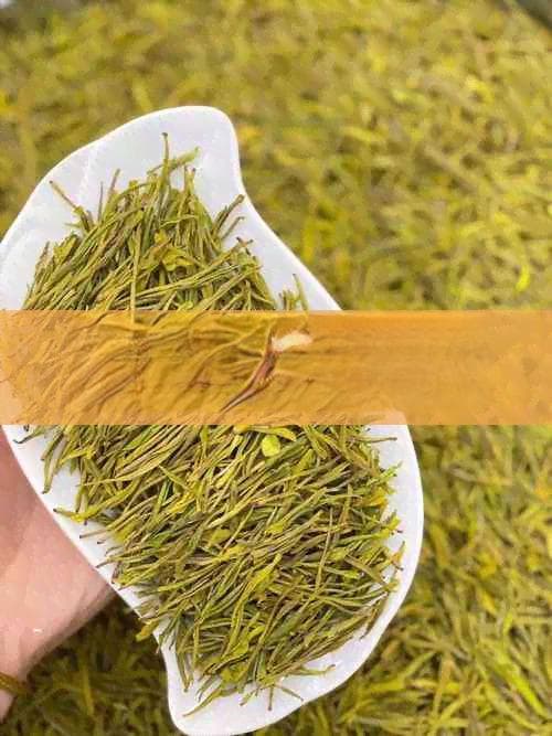 风寒感冒茶饮指南：八种茶饮缓解感冒症状