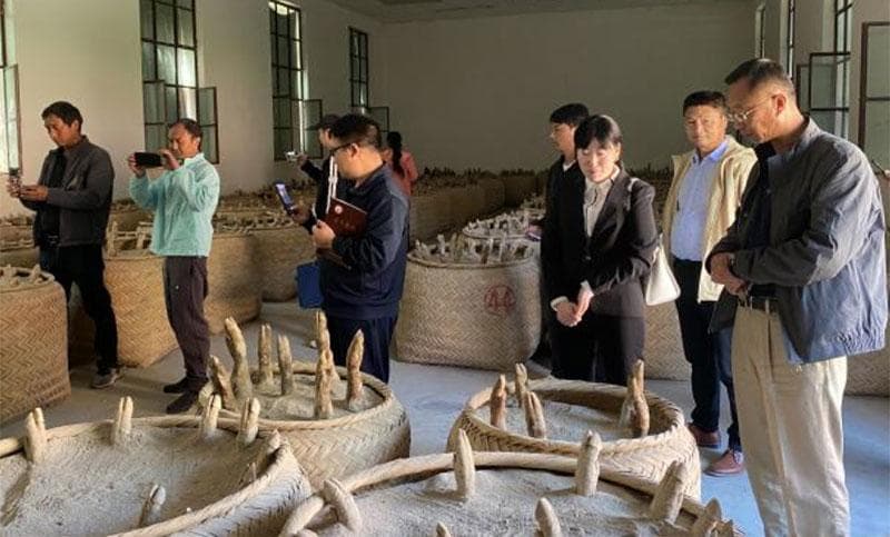 云南通达乡：210万建火腿加工坊，年创收40万助325户增收