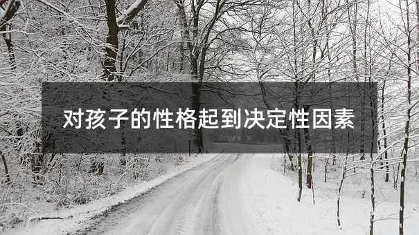 对孩子的性格起到决定性因素