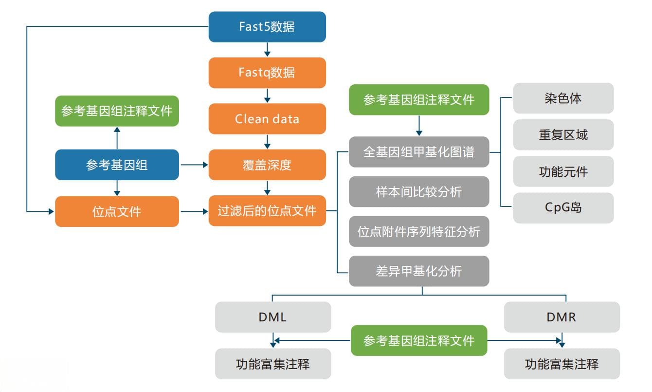 基于Nanopore的全基因组甲基化分析应用详解