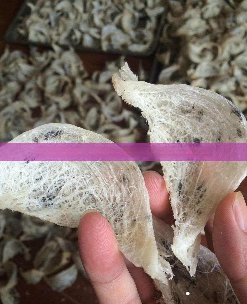如何辨别燕窝真伪：详尽鉴别方法与技巧