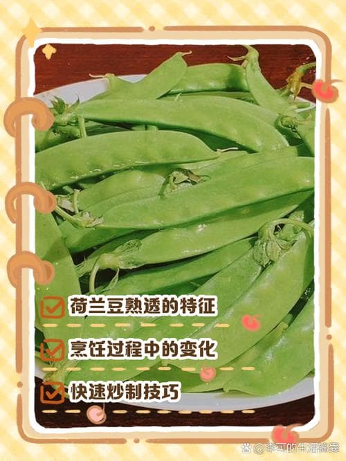 荷兰豆要多久才熟？一文详解烹饪时间与技巧