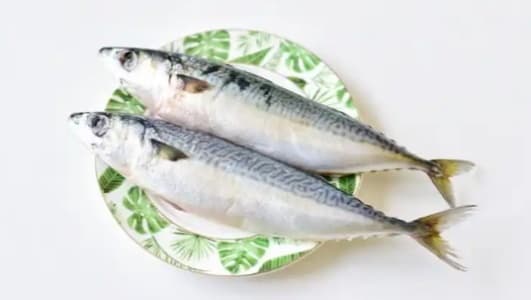 鲅鱼的功效与食用指南：营养价值、功效作用及注意事项全解析