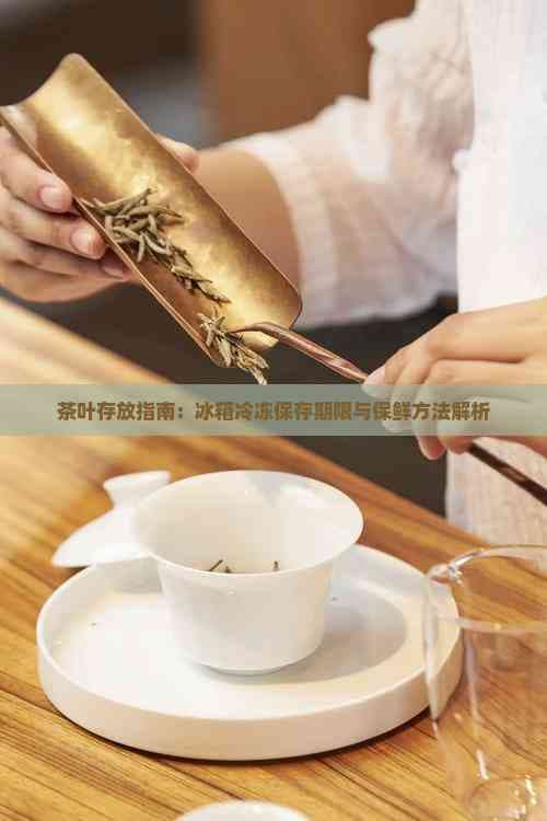 茶叶存放指南：冰箱冷冻保存期限与保鲜方法解析
