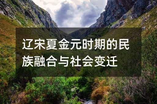 辽宋夏金元时期的民族融合与社会变迁