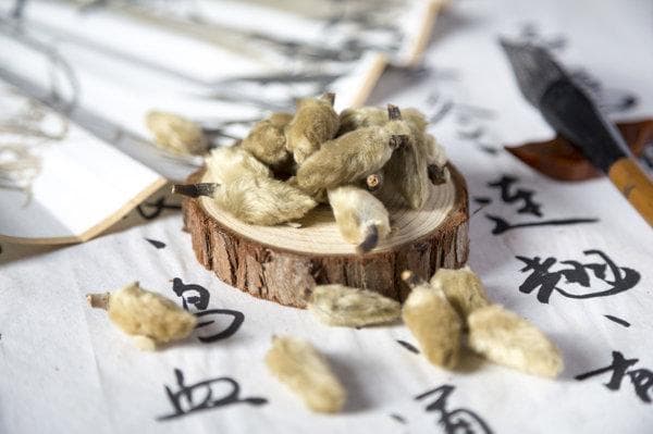筛窦炎的中药方剂有哪些药