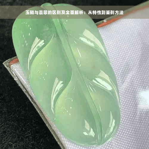 玉髓与翡翠的区别及全面解析：从特性到鉴别方法