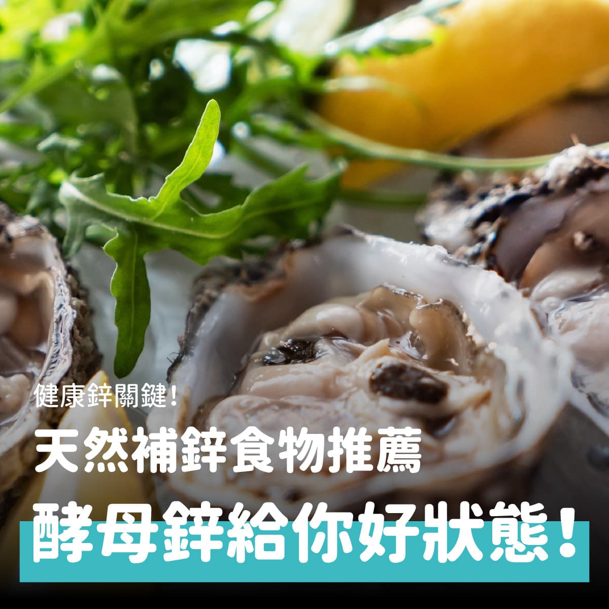健康鋅關鍵！天然補鋅食物推薦+酵母鋅幫助你維持最佳狀態