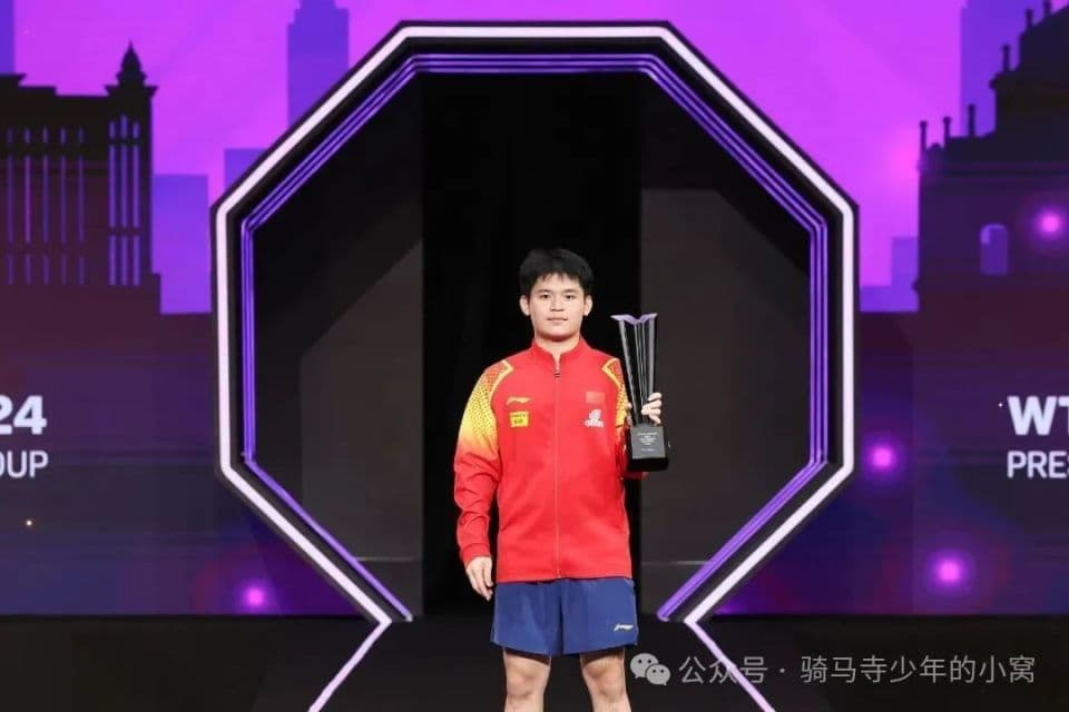 横空出世的林诗栋到底厉害在哪？两项技术顶尖，一大短板先天不足