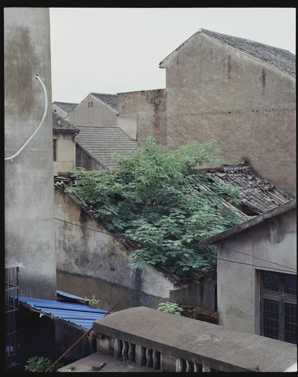 《缺席的人》：徐邦特摄影作品中城市与自然的对答