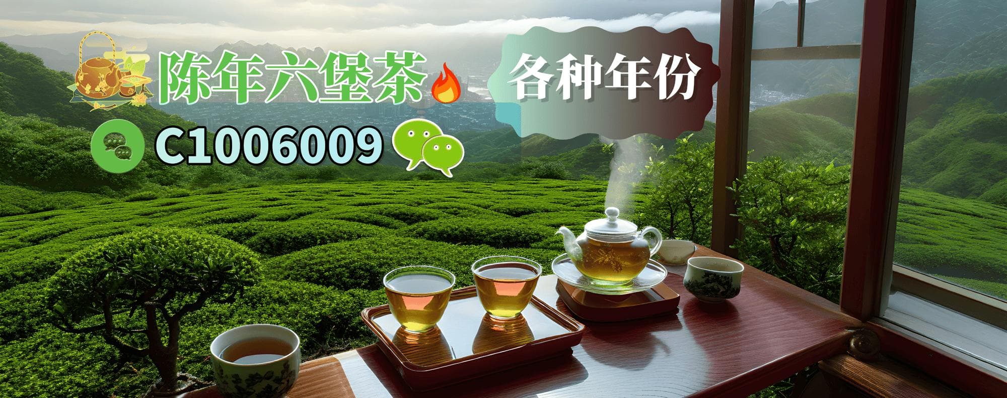 六堡茶的采摘标准与制作工艺，带你了解六堡茶的品质特征