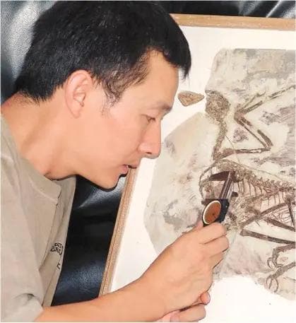 古生物学家和艺术工匠“搭班” 让恐龙在中国大地“复活”