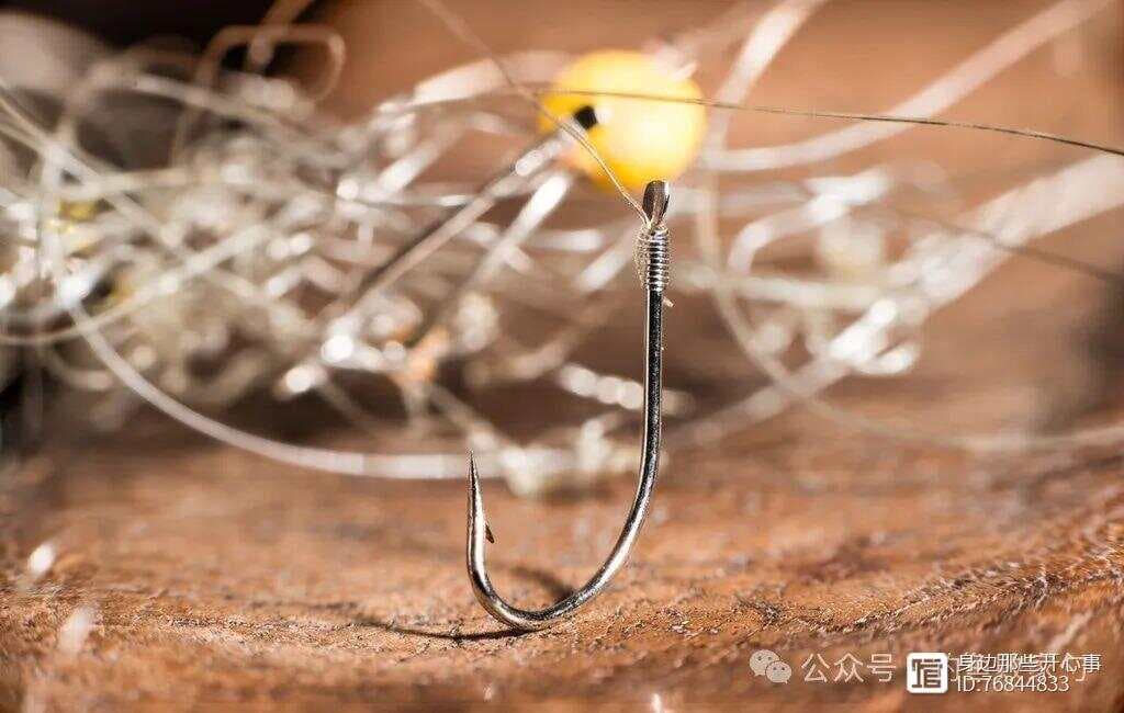 冰钓单钩VS双钩：谁才是你的最佳选择？