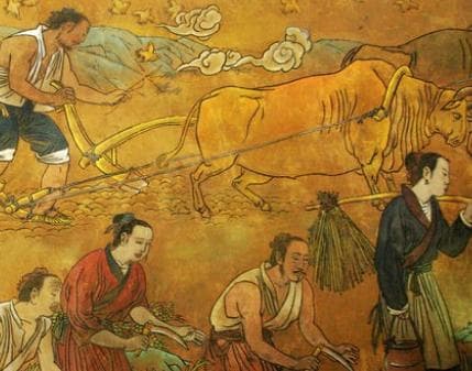 古代耕地技术的演变历程