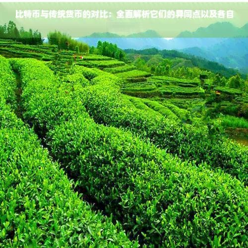 比特币与传统货币的对比：全面解析它们的异同点以及各自的优劣势