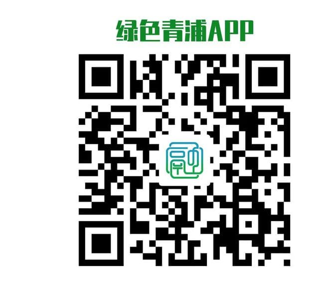 如何使用个人所得税App查询收入纳税明细？