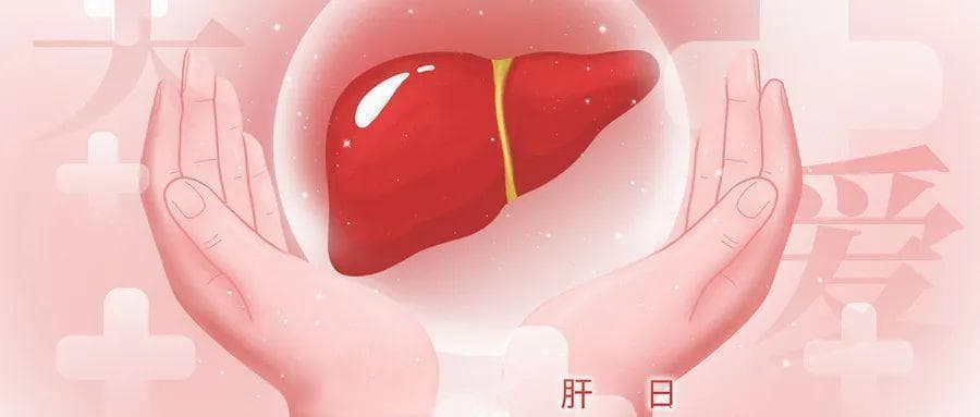 “沉默英雄”告急！职场人如何守护肝脏健康？
