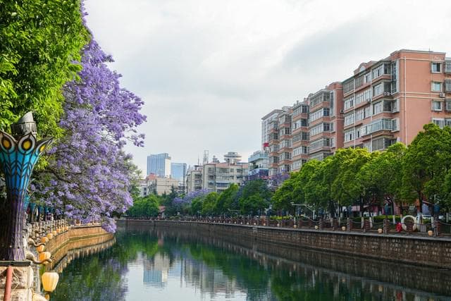 2024年云南各市GDP：昆明超8200亿，曲靖近3700亿，昭通第6