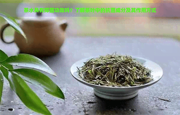 茶叶的抑菌作用：科学依据与健康益处