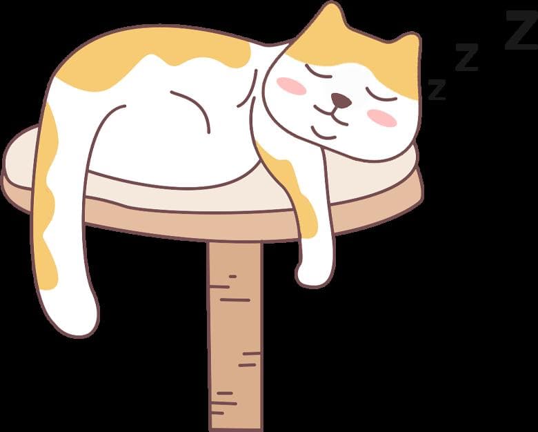 猫掉毛最好的解决办法：从日常护理到饮食调整的全面指南