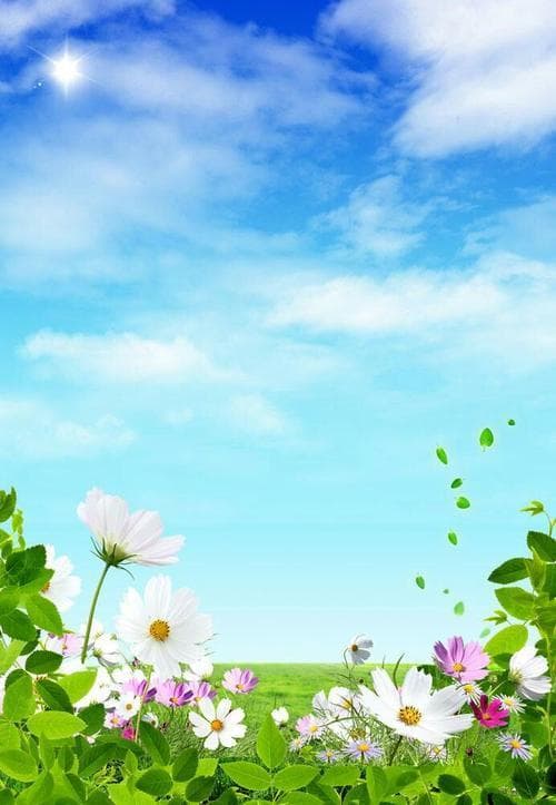 春哪些景物详写？春意盎然：细读春景四种表达!
