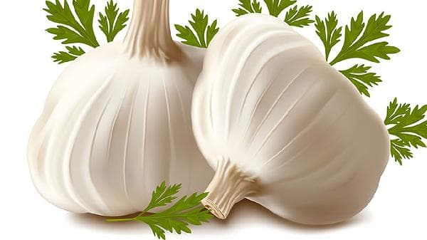 大蒜的功效与作用：从抗菌消炎到抗癌降脂