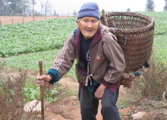 数据显示：不同省份，患老年痴呆的概率不同？希望你没有命中