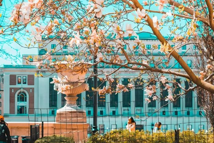 2025最新英国约克大学优势专业及专业排名介绍