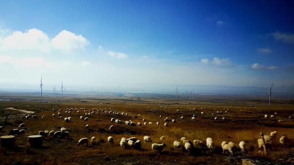 在青藏高原住院三周，我带回了腿上的钢板和钢钉