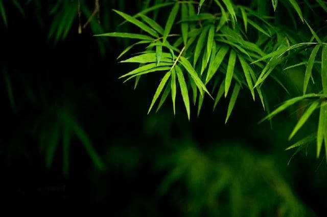 古人10句智慧箴言，读后顿悟