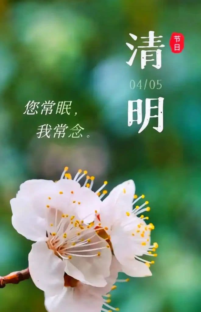 清明祭祖：传承千年的文化,其中含义和来源需要学习