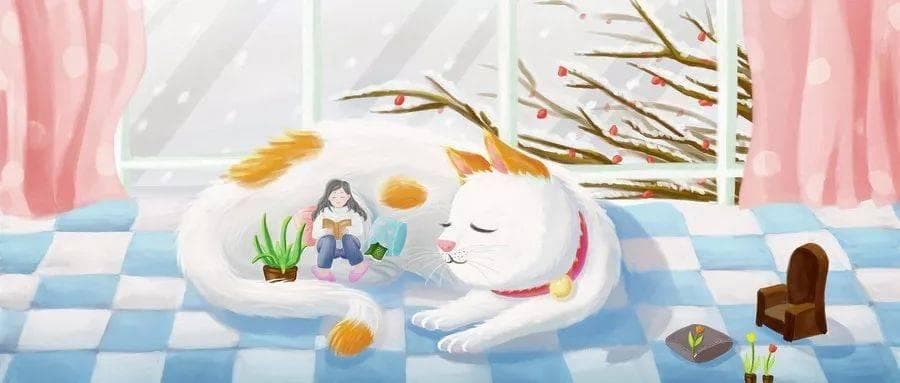 我们欠孩子一份真正的数学阅读书单（附小学数学课外书单）