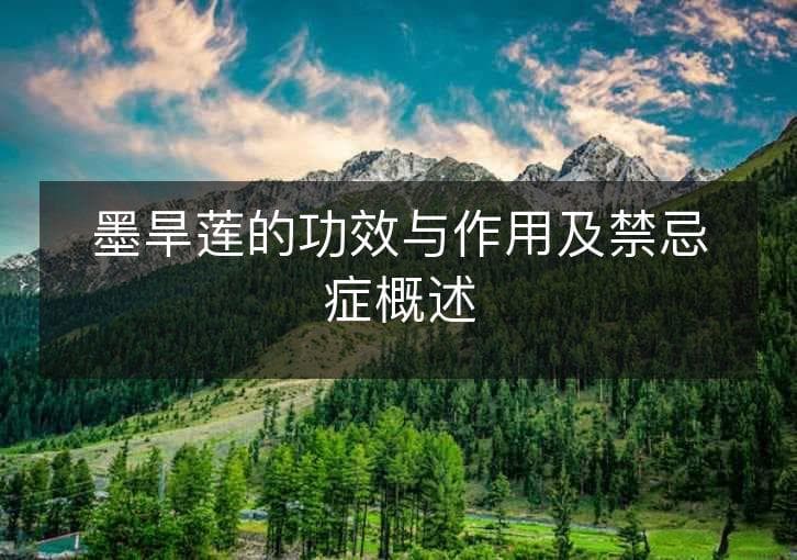 墨旱莲的功效与作用及禁忌症概述