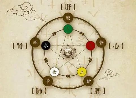 了解脏腑学说，开启中医养生新篇章