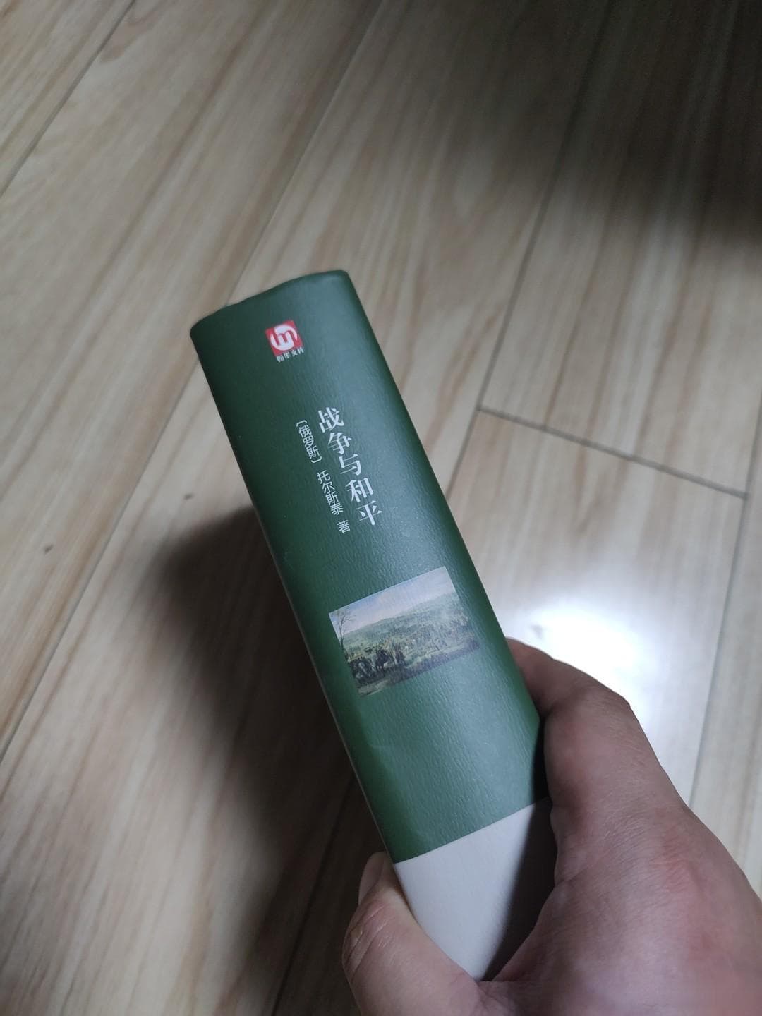 《战争与和平》：一部让人沉思的史诗巨著