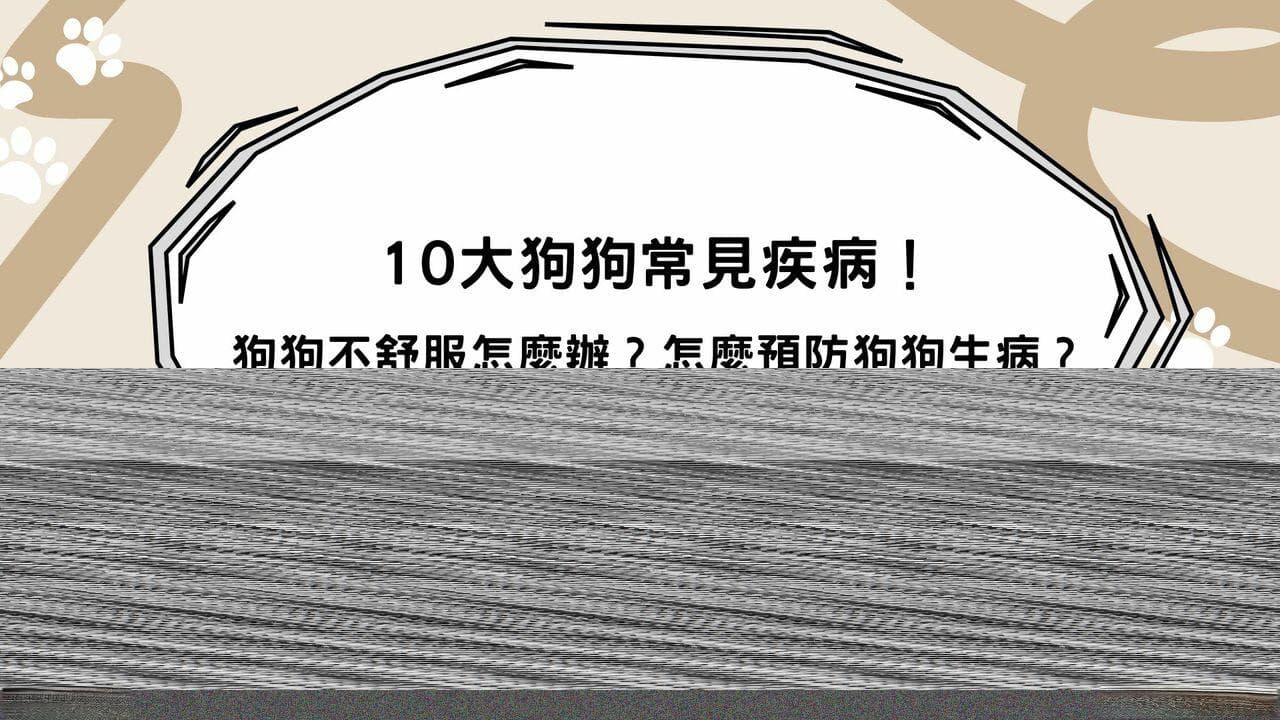 10大狗狗常见疾病！狗狗不舒服怎么办？怎么预防狗狗生病？