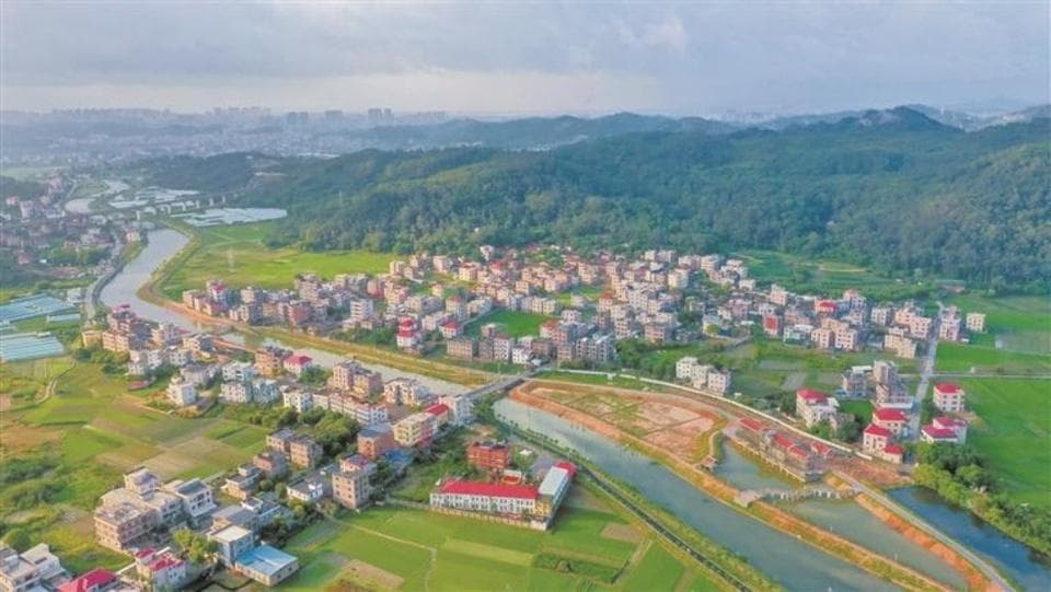 “千万工程”在泉港：绘就城乡共美新画卷
