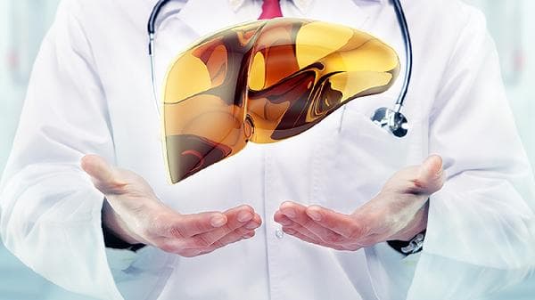 脂肪肝患者如何选择就诊科室？这份实用指南请收好
