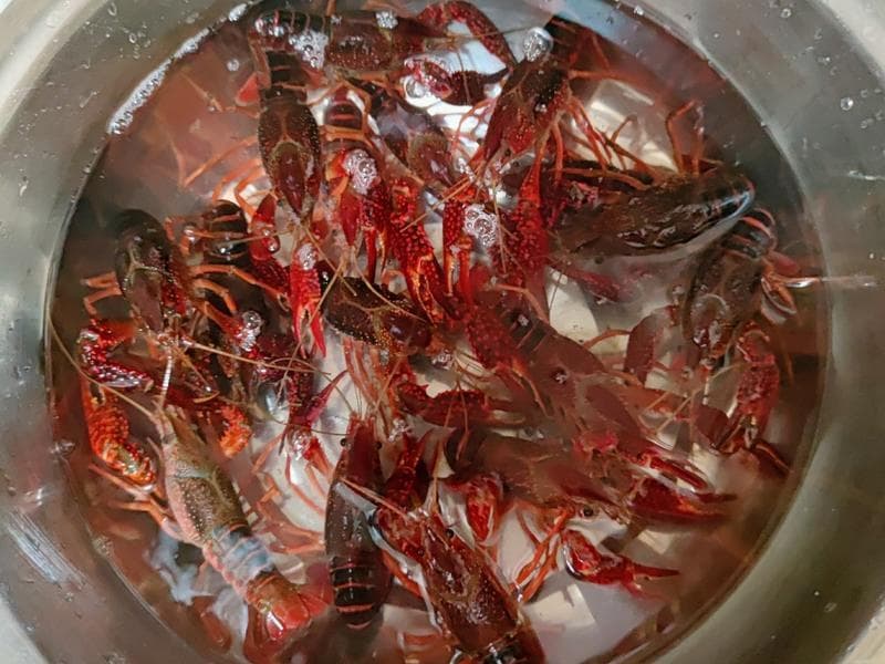 麻辣小龙虾