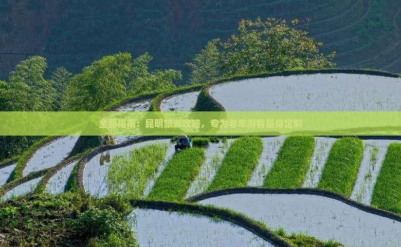 昆明旅游攻略：专为老年游客量身定制