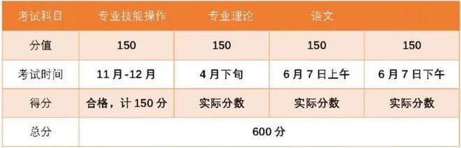 浙江省单考单招：全方位解析，快来围观！