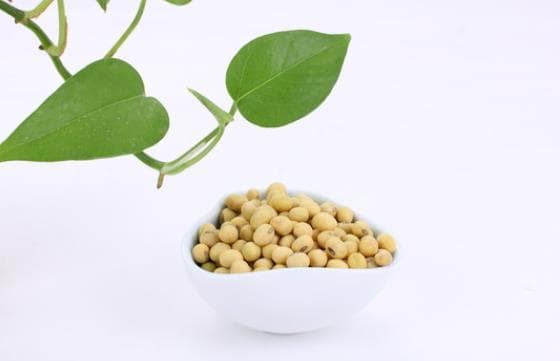 黄豆泡发多久好煮？室温浸泡12小时左右