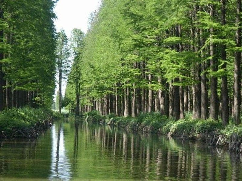 临安青山湖：垂钓与观光的完美结合