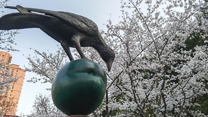 迎春踏青、品茗赏花，上海位居清明假期国内热门目的地榜首