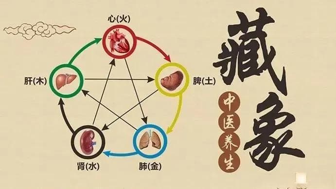 中医常说的“藏象”是什么？