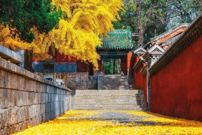河南十大热门旅游景点全攻略：四季行程规划与景点特色详解
